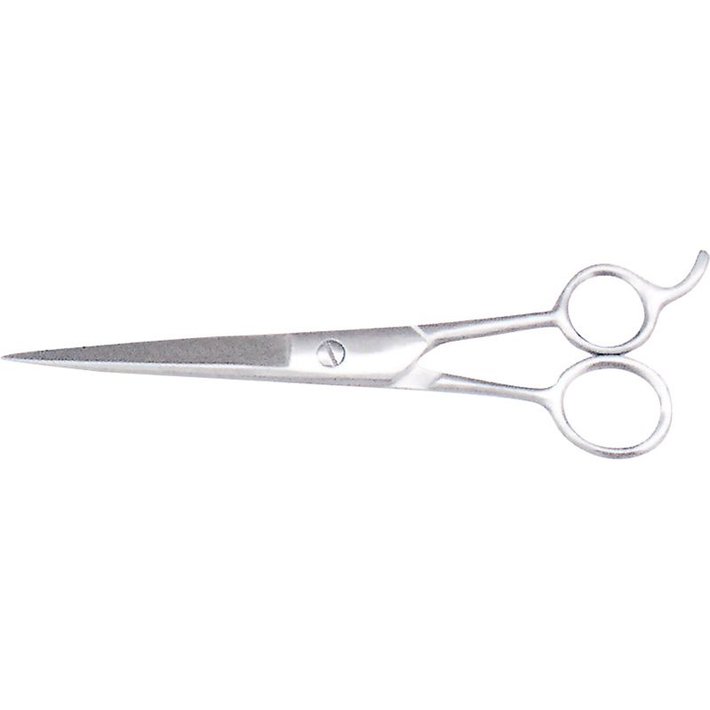 Barber Scissors
