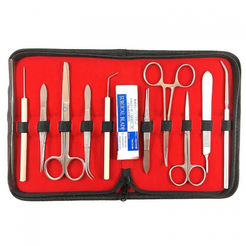 Dissecting Set