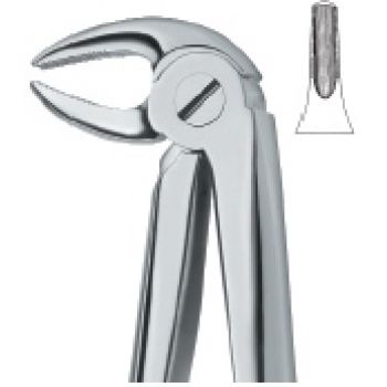 Extracting Forcep English Pattern