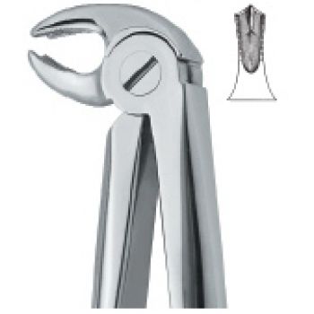 Extracting Forcep English Pattern