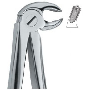 Extracting Forcep English Pattern