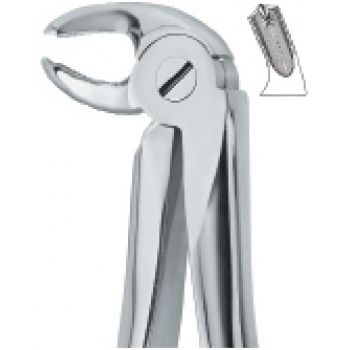 Extracting Forcep English Pattern