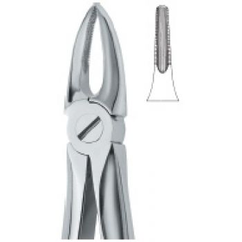 Extracting Forcep English Pattern