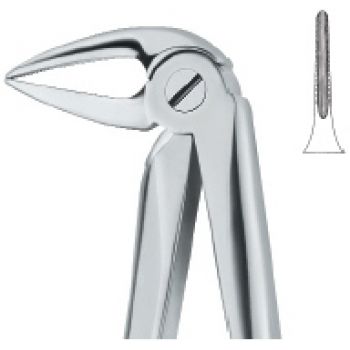 Extracting Forcep English Pattern