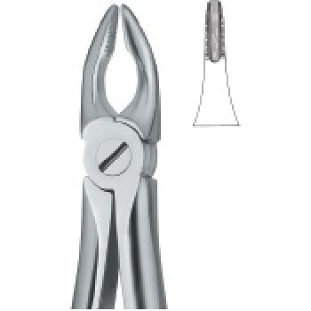 Extracting Forcep English Pattern