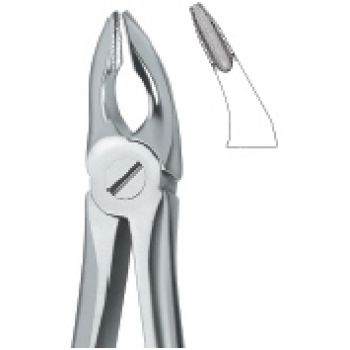 Extracting Forcep English Pattern