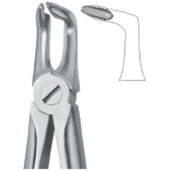 Extracting Forcep English Pattern