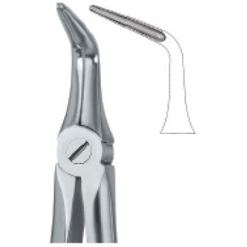 Extracting Forcep English Pattern