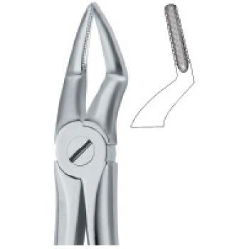 Extracting Forcep English Pattern