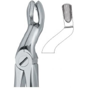 Extracting Forcep English Pattern
