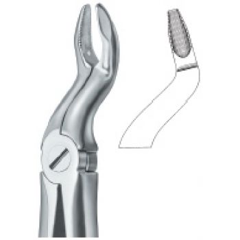Extracting Forcep English Pattern