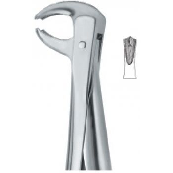 Extracting Forcep English Pattern