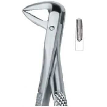 Extracting Forcep English Pattern