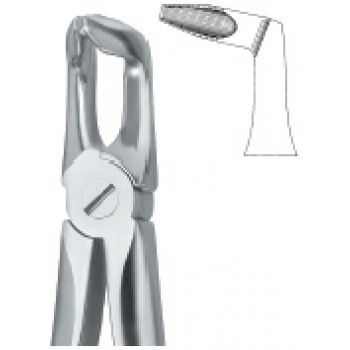 Extracting Forcep English Pattern