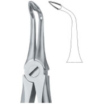 Extracting Forcep English Pattern