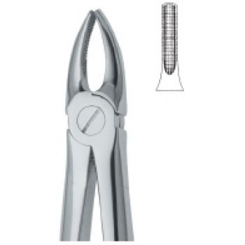 Extracting Forcep English Pattern
