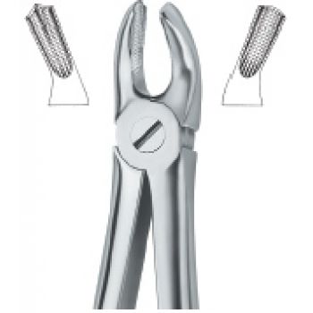 Extracting Forcep English Pattern