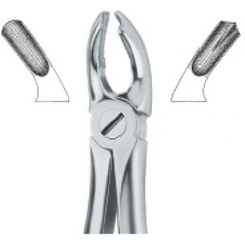 Extracting Forcep English Pattern