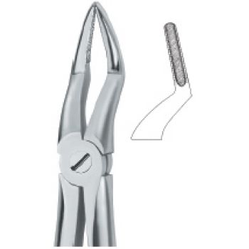 Extracting Forcep English Pattern