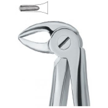 Extracting Forcep English Pattern