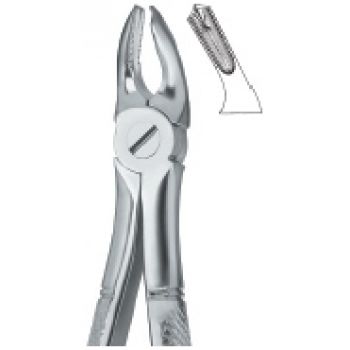 Extracting Forcep English Pattern