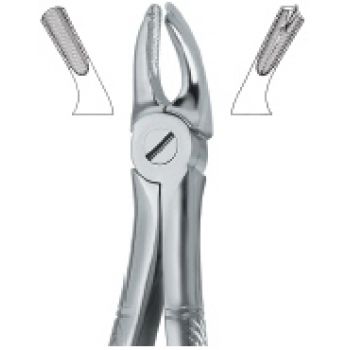 Extracting Forcep English Pattern