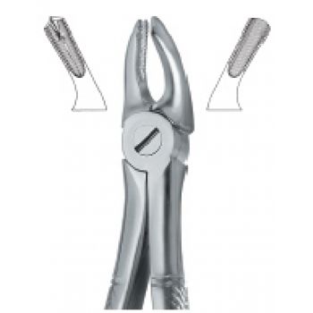 Extracting Forcep English Pattern