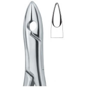 Extracting Forceps American Pattern