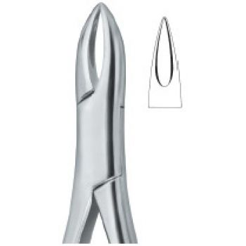 Extracting Forceps American Pattern