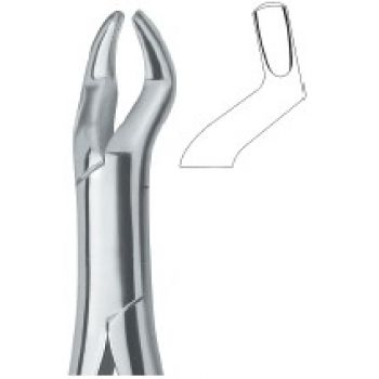 Extracting Forceps American Pattern