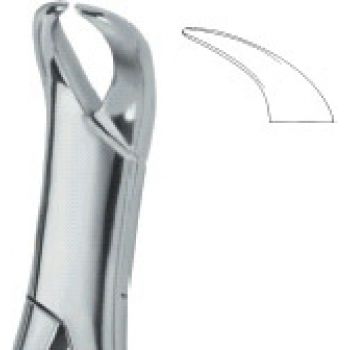 Extracting Forceps American Pattern