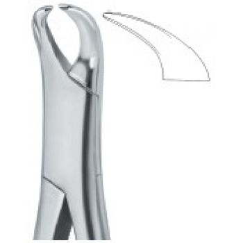 Extracting Forceps American Pattern