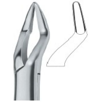Extracting Forceps American Pattern