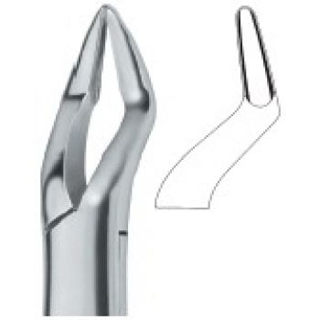 Extracting Forceps American Pattern
