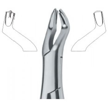 Extracting Forceps American Pattern