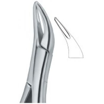 Extracting Forceps American Pattern