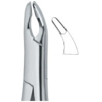 Extracting Forceps American Pattern