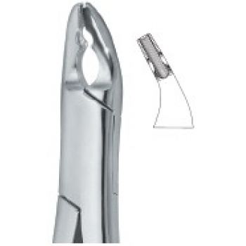 Extracting Forceps American Pattern
