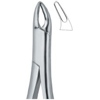 Extracting Forceps American Pattern