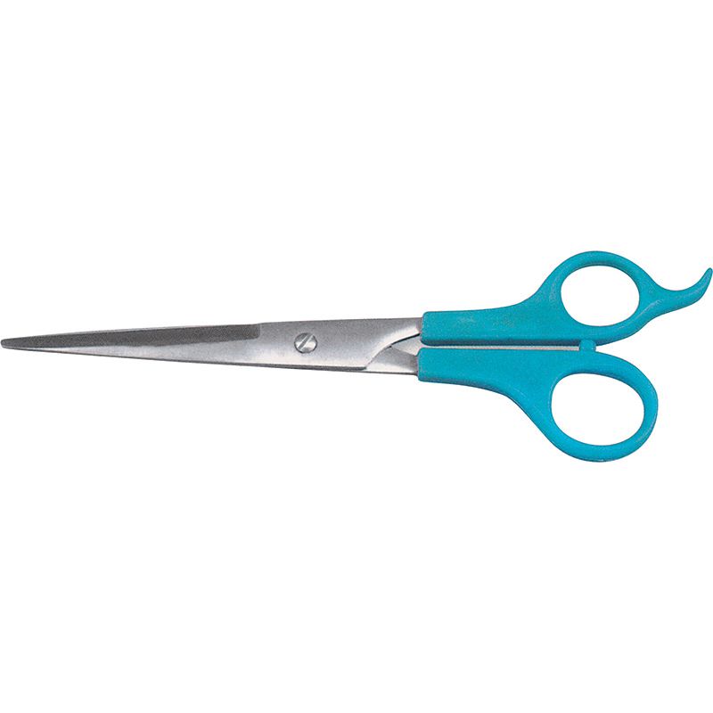 Hair Cutting Shear