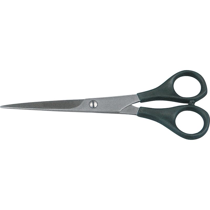 Hair Cutting Shear