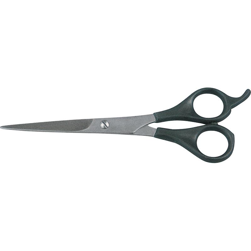 Hair Cutting Shear