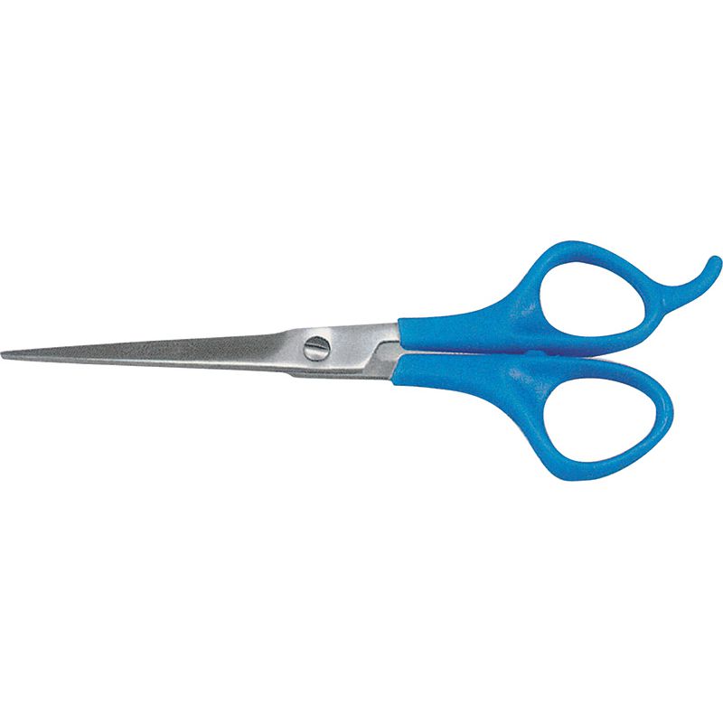 Hair Dressing Shear