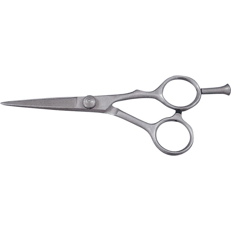 Haire Dressing Scissors