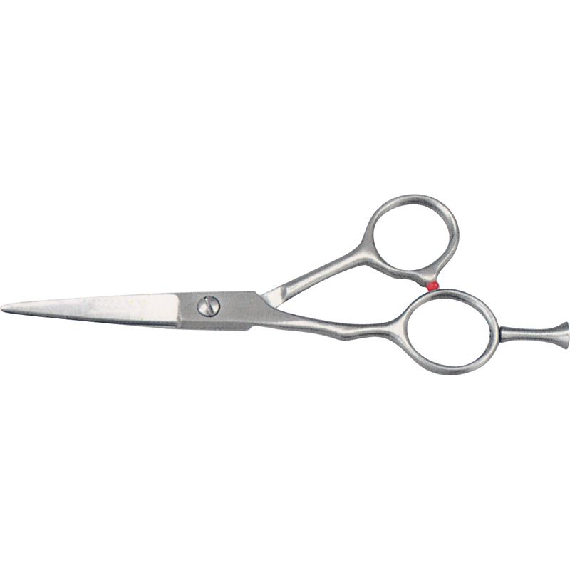 Hair Dressing Shears