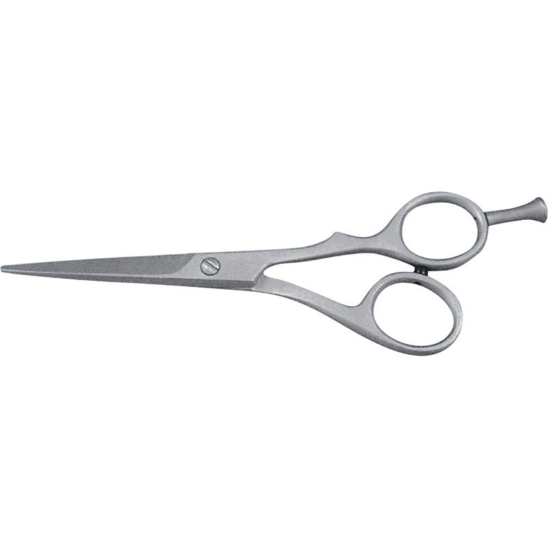 Hair Dressing Shears