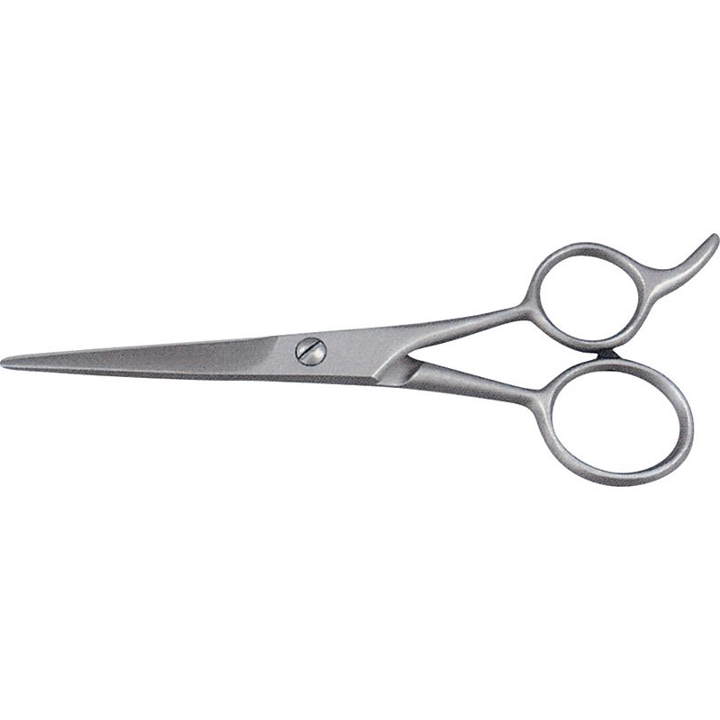 Hair Dressing Shears