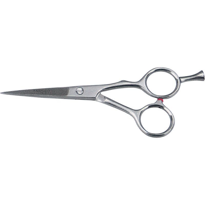 Hair Dressing Shears