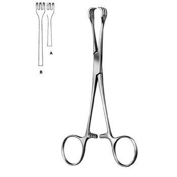 Muscular Clamp