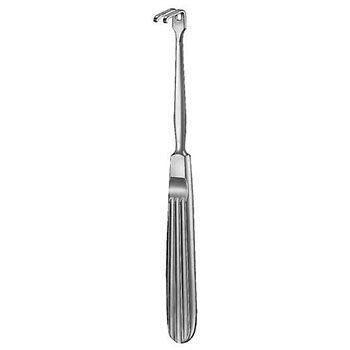 Oral Instruments